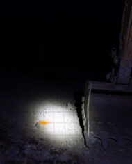 1603-300331-1.jpg